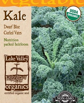 KALE DWARF BLUE VATES CURLED