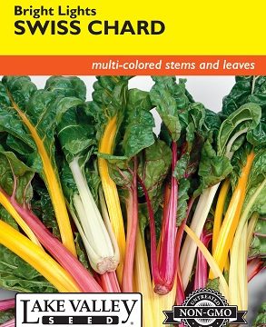 SWISS CHARD BRIGHT LIGHTS