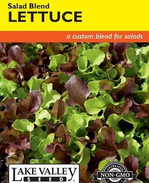 LETTUCE SALAD BLEND