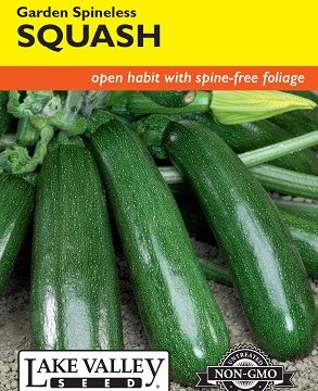 SQUASH SUMMER GARDEN SPINELESS HYBRID