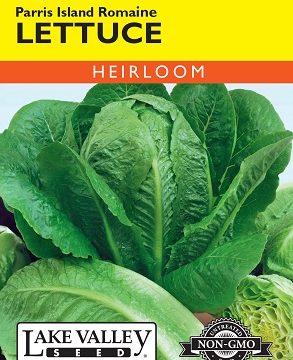 LETTUCE ROMAINE PARRIS ISLAND