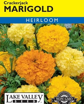 MARIGOLD CRACKERJACK MIXED COLORS