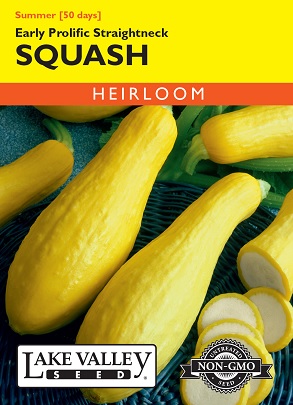 product-83675-1759485670-LKV1899