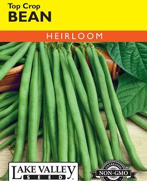 BEAN BUSH GREEN TOP CROP