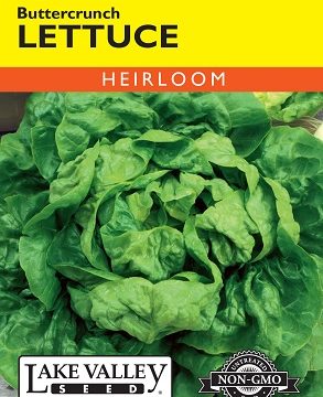 LETTUCE BUTTERCRUNCH