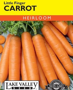 CARROT LITTLE FINGER