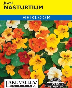 NASTURTIUM DWARF JEWEL MIXED COLORS