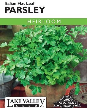 PARSLEY ITALIAN FLAT LEAF
