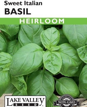 BASIL SWEET ITALIAN