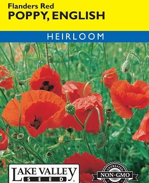 POPPY ENGLISH FLANDERS RED