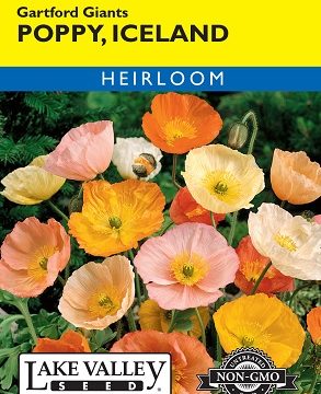 POPPY ICELAND GARTFORDS GIANT MIXED COLORS