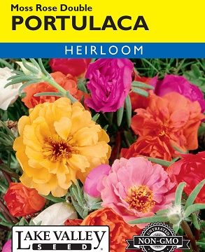 PORTULACA DOUBLE MIXED COLORS