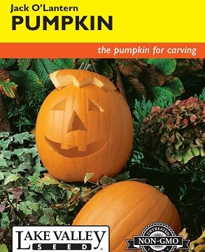 PUMPKIN JACK O LANTERN