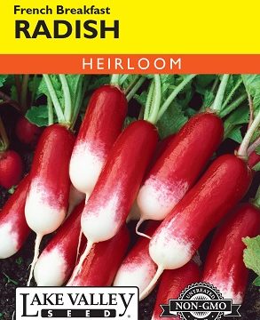 RADISH FRENCH BREAKFAST
