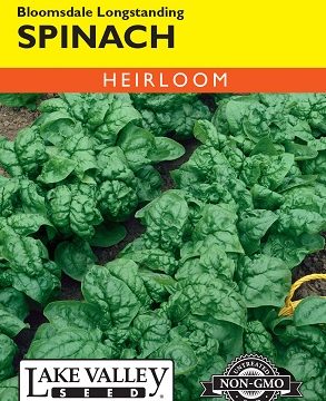 SPINACH BLOOMSDALE LONGSTANDING