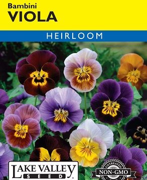 VIOLA BAMBINI MIXED COLORS