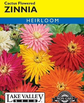 ZINNIA CACTUS FLOWERED MIXED COLORS