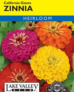 ZINNIA CALIFORNIA GIANTS MIXED COLORS