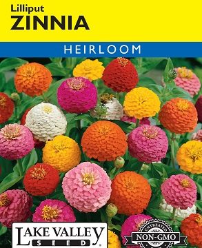 ZINNIA LILLIPUT MIXED COLORS