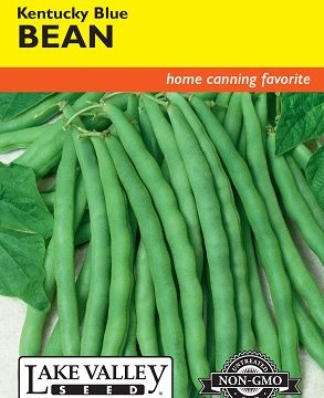 BEAN POLE, KENTUCKY BLUE