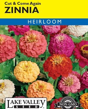 ZINNIA CUT & COME AGAIN MIXED COLORS