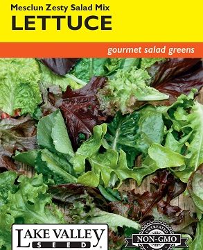 LETTUCE MESCLUN ZESTY SALAD MX