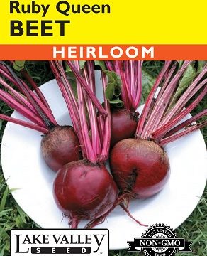 BEET RUBY QUEEN