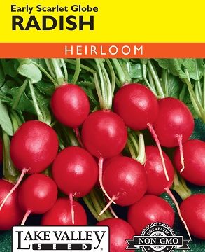 RADISH EARLY SCARLET GLOBE