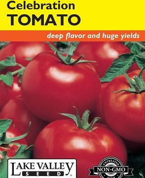 TOMATO BUSH CELEBRATION