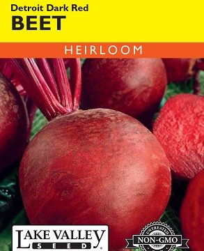 BEET DETROIT DARK RED