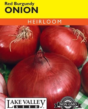 ONION RED BURGUNDY