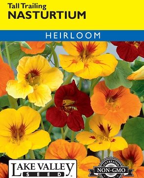 NASTURTIUM TALL TRAILING MIXED COLORS