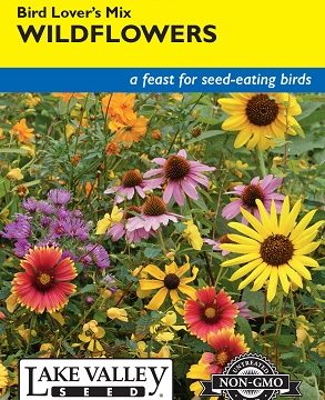 WILDFLOWERS BIRD LOVER'S MIX