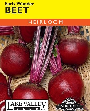 BEET EARLY WONDER