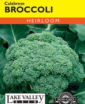 BROCCOLI CALABRESE