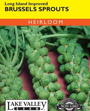 BRUSSELL SPROUTS LONG ISLAND