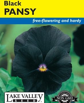 PANSY BLACK