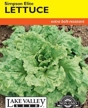 LETTUCE SIMPSON ELITE