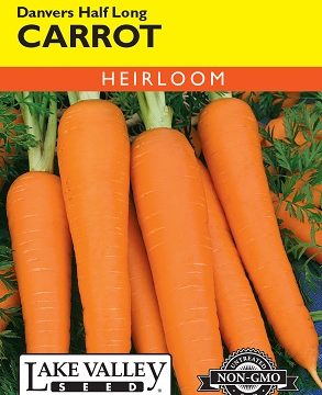 CARROT DANVERS HALF LONG