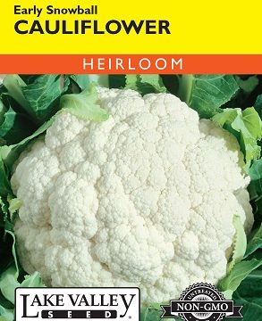 CAULIFLOWER SNOWBALL EARLY