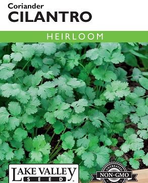 CILANTRO CORIANDER