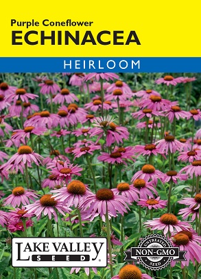 product-83755-1759486227-LKV99