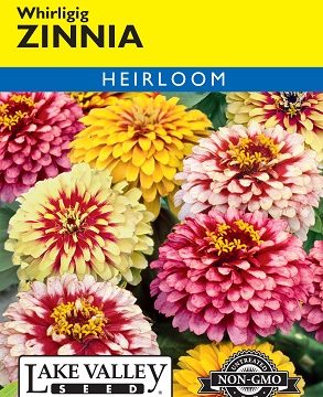 ZINNIA WHIRLIGIG MIXED COLORS