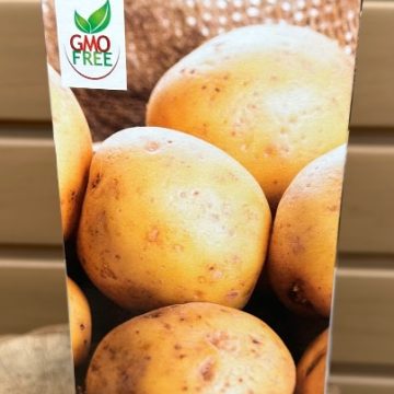 SEED POTATOES GERMAN BUTTERBALL- QUANTITY 6