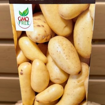 SEED POTATOES BANANA- QUANTITY 6
