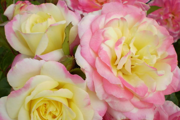 product-9058-1759472534-BN72231