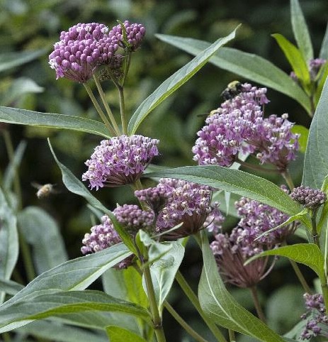 product-97345-1759488833-MO023591