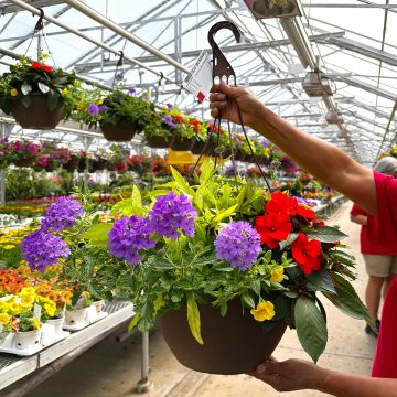 Combination MixMasters™ Peach of My Heart- 12" Bsk