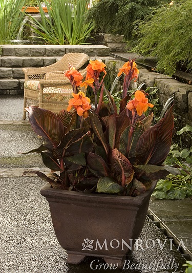 product-980-1759488768-MO022481