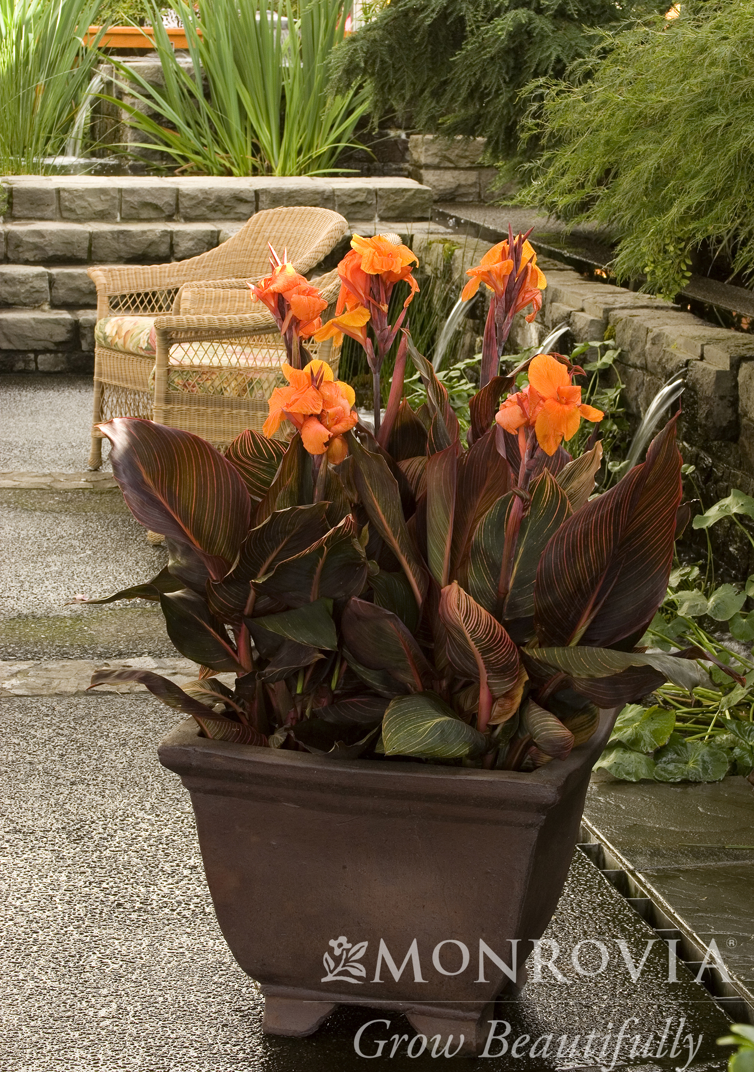 product-981-1759488788-MO022482